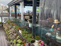 -野菌皇海景野生菌火锅(滨海大道店)