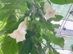 -常州花鸟园酒店(西太湖品牌优选店)