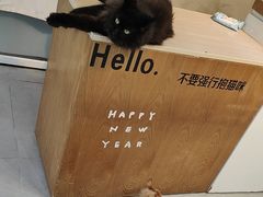 -Heymao猫咖.咖啡厅(东门店)