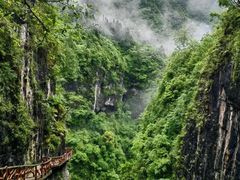 -鹿院坪生态旅游景区