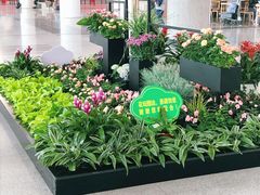 -杭州萧山国际机场