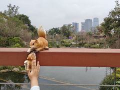 -云溪植物园