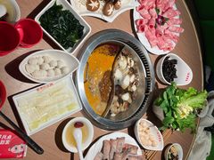 -季季红火锅(新百大店)