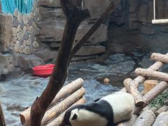 -济南野生动物世界