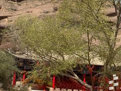 -宁夏中卫寺口旅游区(苏武牧羊遗址)