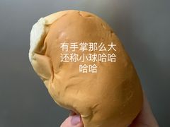 白脱小球-白玉兰食品(甜云店)