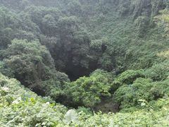 -海口火山口国家地质公园