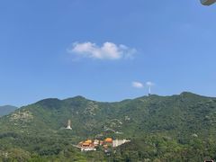 -深圳仙湖植物园