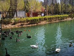 -长白岛森林公园