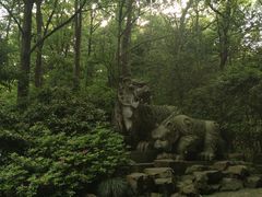 -虎跑公园