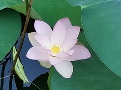 -后襄河公园