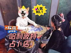 -雪灵魔法世界SHELLY’S TAROT(大良桂畔里店)