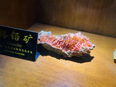 -青岛德国总督楼旧址博物馆