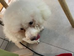 -萌兽医馆·宠物医院·猫骨科(创景店)