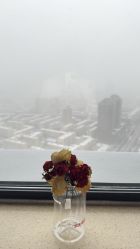 -诗安国际母婴会所(香坊区店)