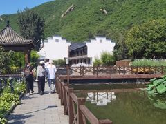 -荷塘味道(水长城店)