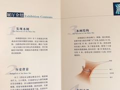 -元代水闸遗址博物馆