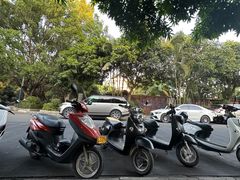 景观位-张宏波烧猪店