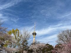 -中央广播电视塔