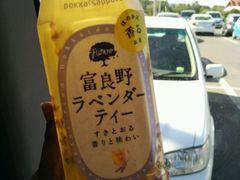 -富田农场
