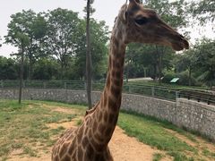 -石家庄市动物园