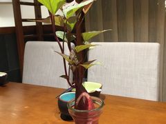 -十二舍·湯物素煮(江泰潤政店)