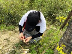 -铁山坪森林公园