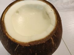 -志龙皇冠吃货椰子铺