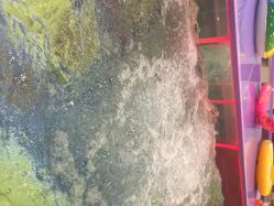 亲贝湾婴幼儿SPA中心(惠山万达店)-海豚啵啵体智能游泳馆(惠山万达广场店)