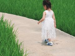 -迪茵湖田家舍生态农场