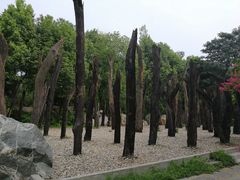 -江湾神木园