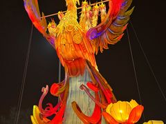 -武汉园博园(武汉自然博物馆)