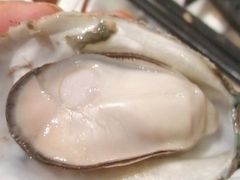-土蚝·高压锅生蚝(百姓美食街店)