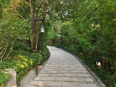 -天目湖涵田半山温泉