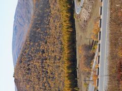 -塞罕坝国家级自然保护区