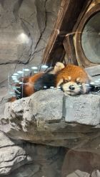 -Zoolung Zoolung动物主题公园(海信广场店)