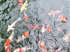 -云溪植物园