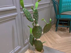 -敏华冰厅(天河城店)