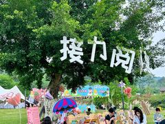 -广西壮族自治区药用植物园