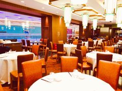 大堂-蝶园·装修中(BFC外滩金融中心店)