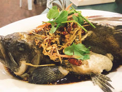 清蒸石斑鱼-量贩海鲜餐厅