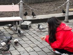 -圣维特主教座堂