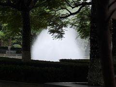 -缘生态云南菜·野生菌庭院餐厅(华侨城店)