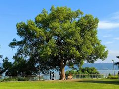 -东钱湖旅游度假区