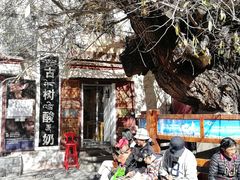 门面-古树酸奶(八廓南街店)
