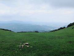 -大姆山草场