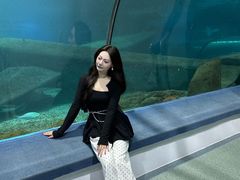 -福州罗源湾海洋世界旅游区