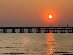 -宝安西湾红树林湿地公园