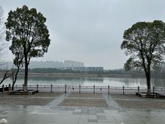 -洋湖国家湿地公园