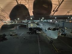 -约翰·菲茨杰拉德·肯尼迪国际机场